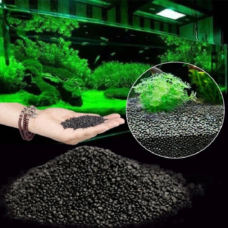 Aquarium Plant Seeds - Balık Tankı Su Çim Çamur Bitki