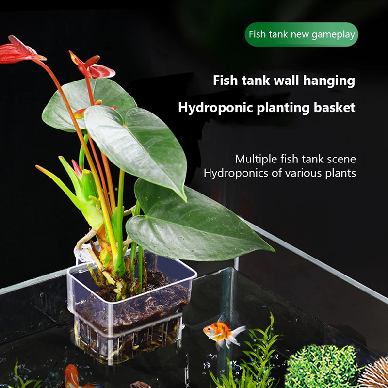 Aquarium Planted Wall - Yeni【Asılı Akvaryum Ekici Bardak Duvara Monte