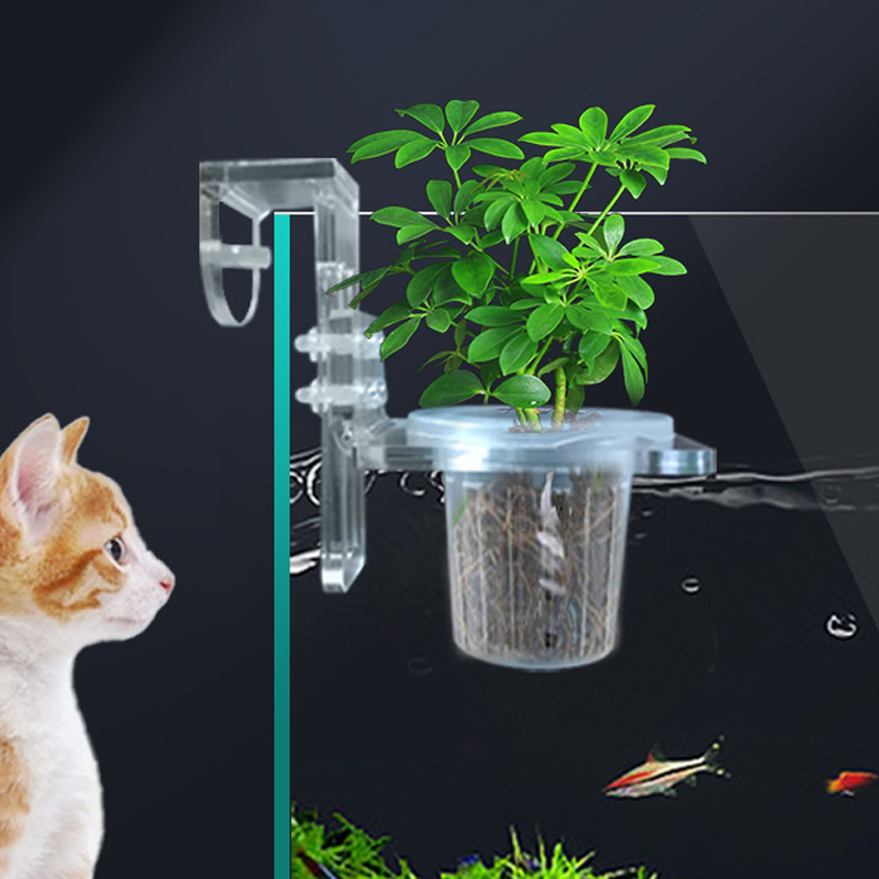 Aquarium Planted Wall - Balık Tankı Dikim Bardak Topraksız Destek