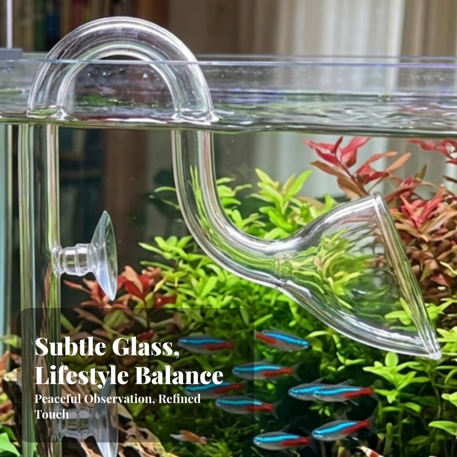 Planted Aquarium Aquascape - Akvaryum Filtresi Giriş ve Çıkış Şeffaf