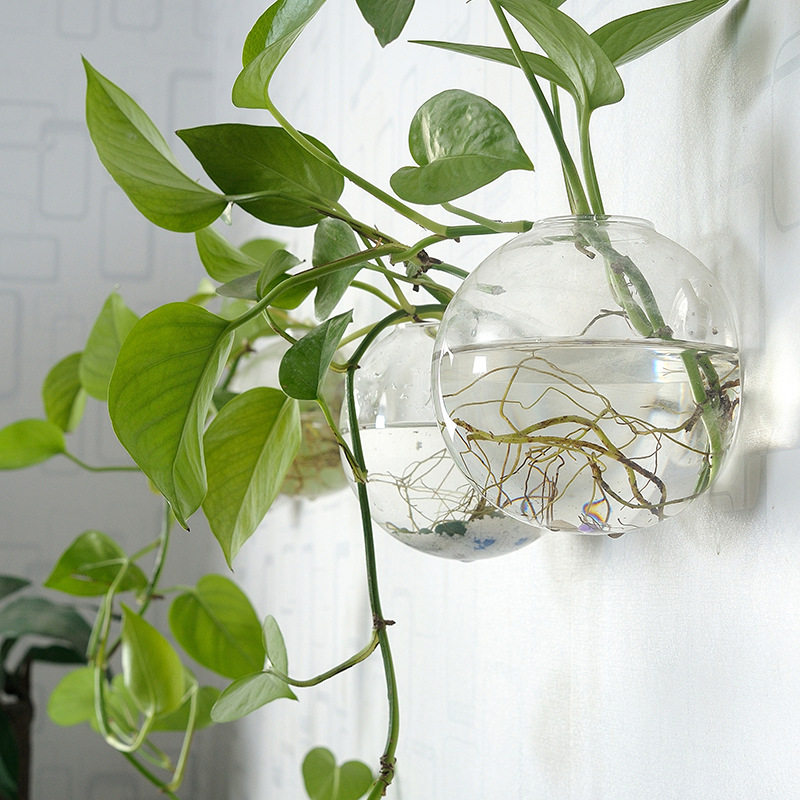 Aquarium Planted Wall - Duvara Asılan Akrilik Balık Kasesi Pleksiglas