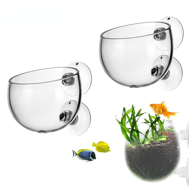 Aquarium Plant Seeds - Yeni Akvaryum Bitki Saksısı Cam Silindir