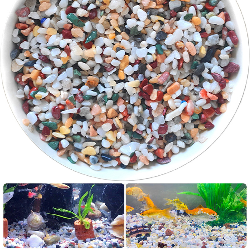 Planted Aquarium With Gravel - Doğal Çakıl Taşı 200 ~ 1000g