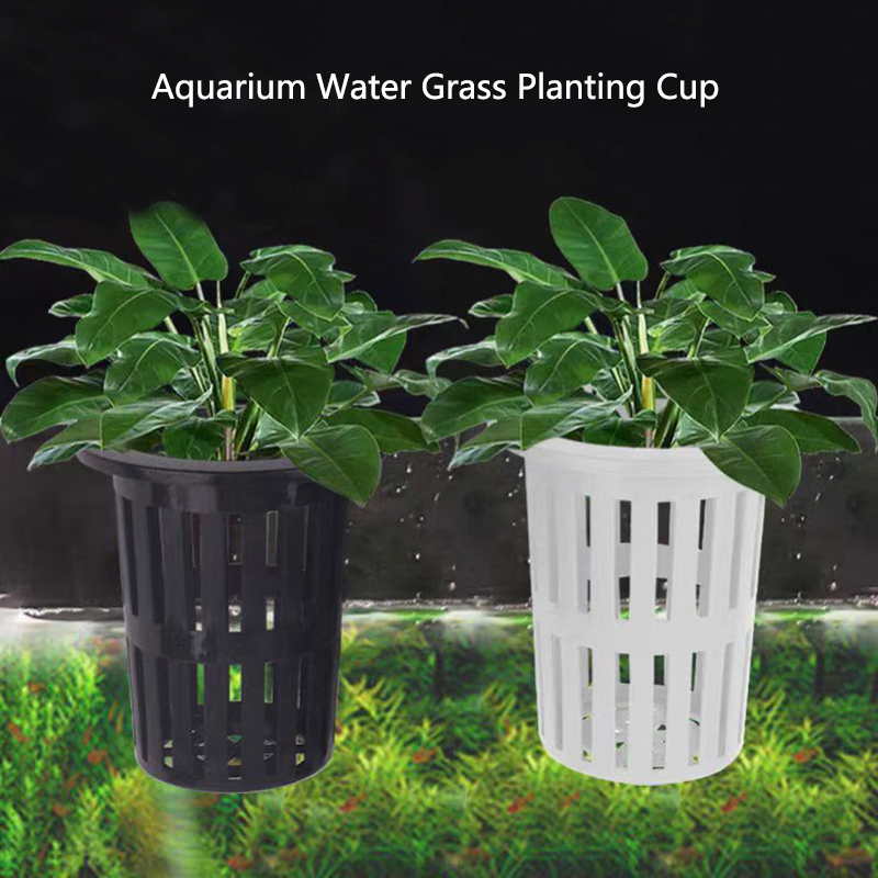 Aquarium Planted Wall - 1/3 adet akvaryum bitki sepeti duvara