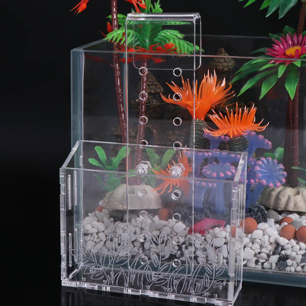 Aquarium Planted Wall - Duvara Asılan Akvaryum Bitki Kabı Şeffaf