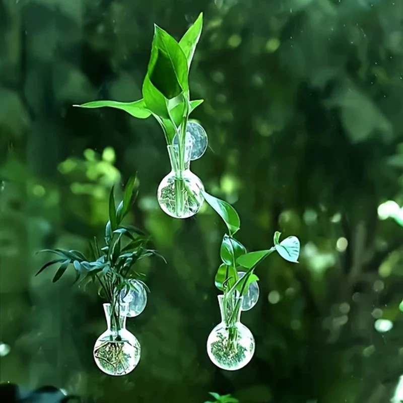 Aquarium Planted Wall - Yaratıcı Yarım Daire Şeklinde Duvara Monte