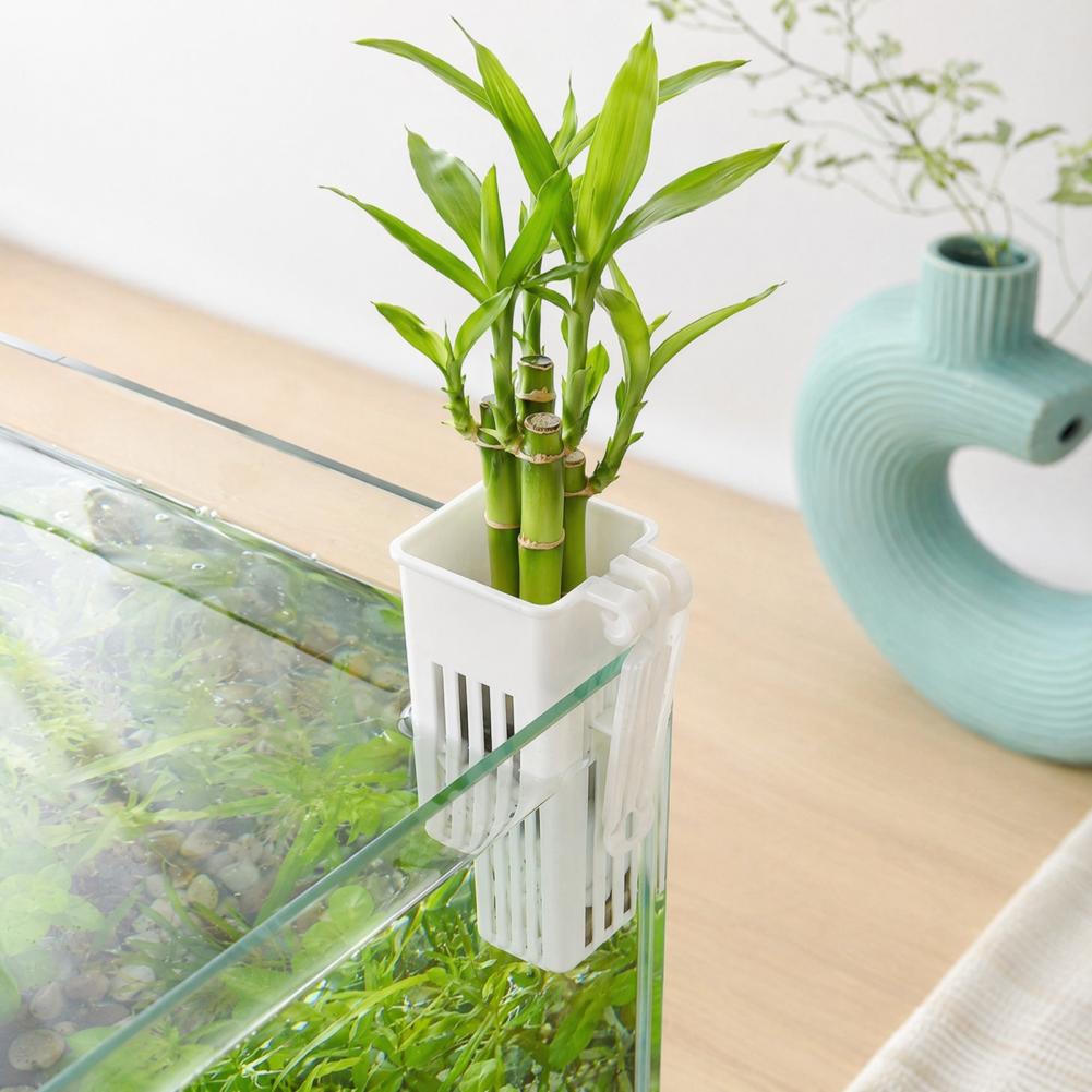Tank Bitki Kabı Hidroponik Bar - Aquarium Planted Wall incelemesi ve fiyatı