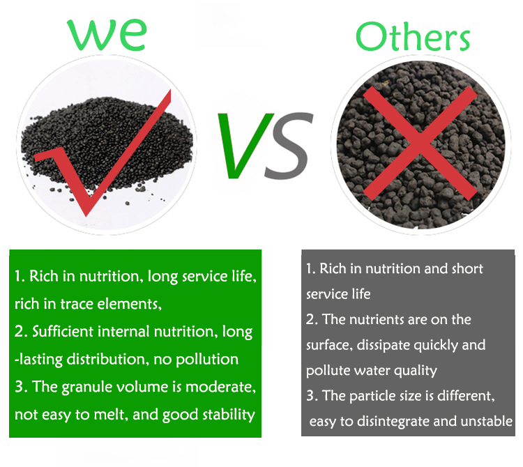 Akvaryum Su Çim Çamur Bitki To - Aquarium Plant Seeds incelemesi ve fiyatı