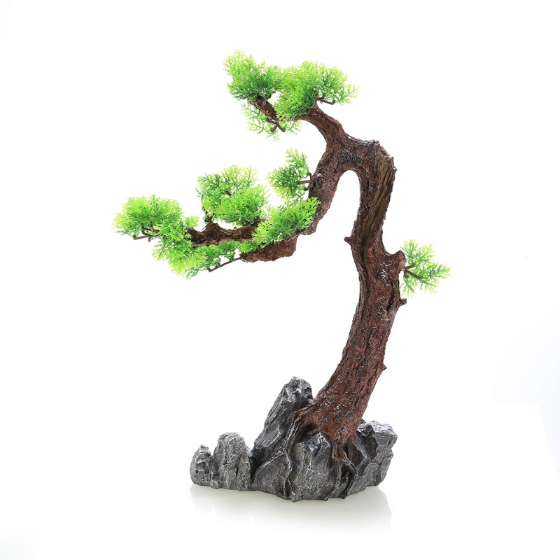 Reçine Çam Ağacı, Yapay Su Çim - Planted Aquarium Aquascape incelemesi ve fiyatı