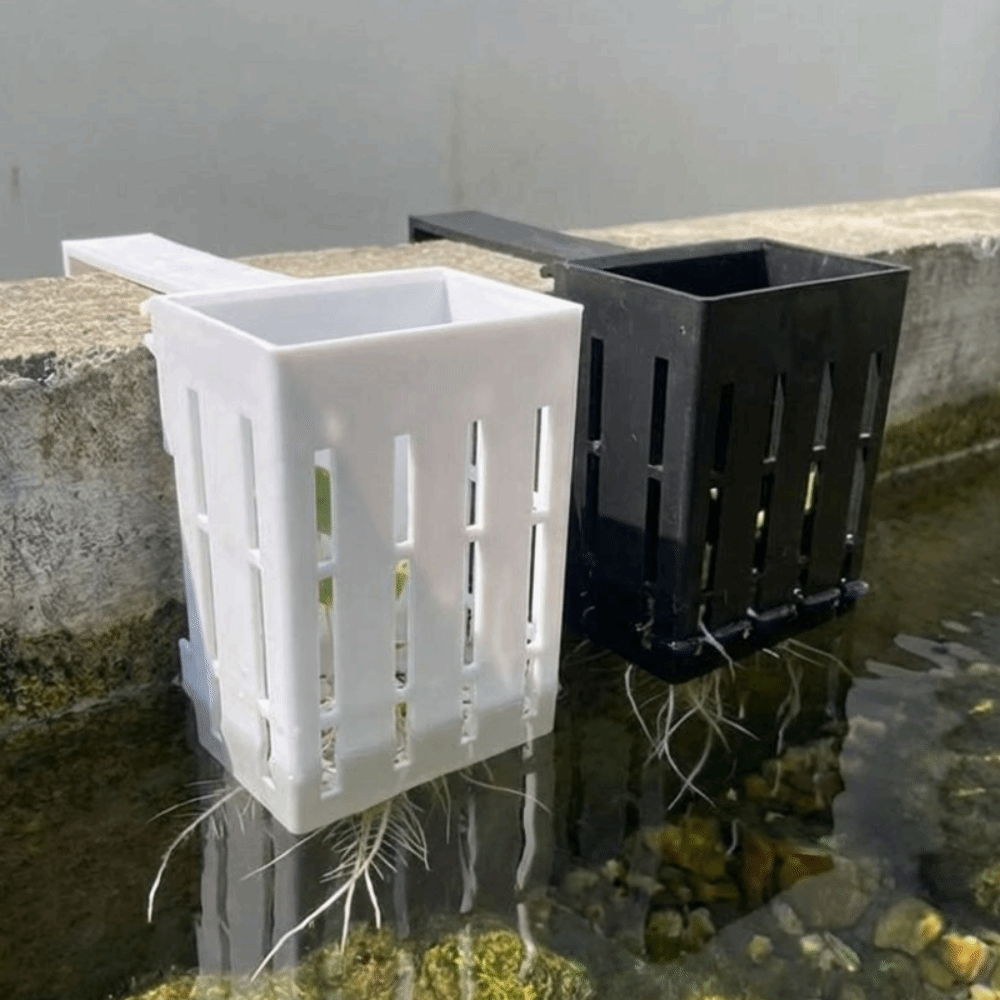 Duvara Monte Edilen Akvaryum B - Aquarium Planted Wall incelemesi ve fiyatı
