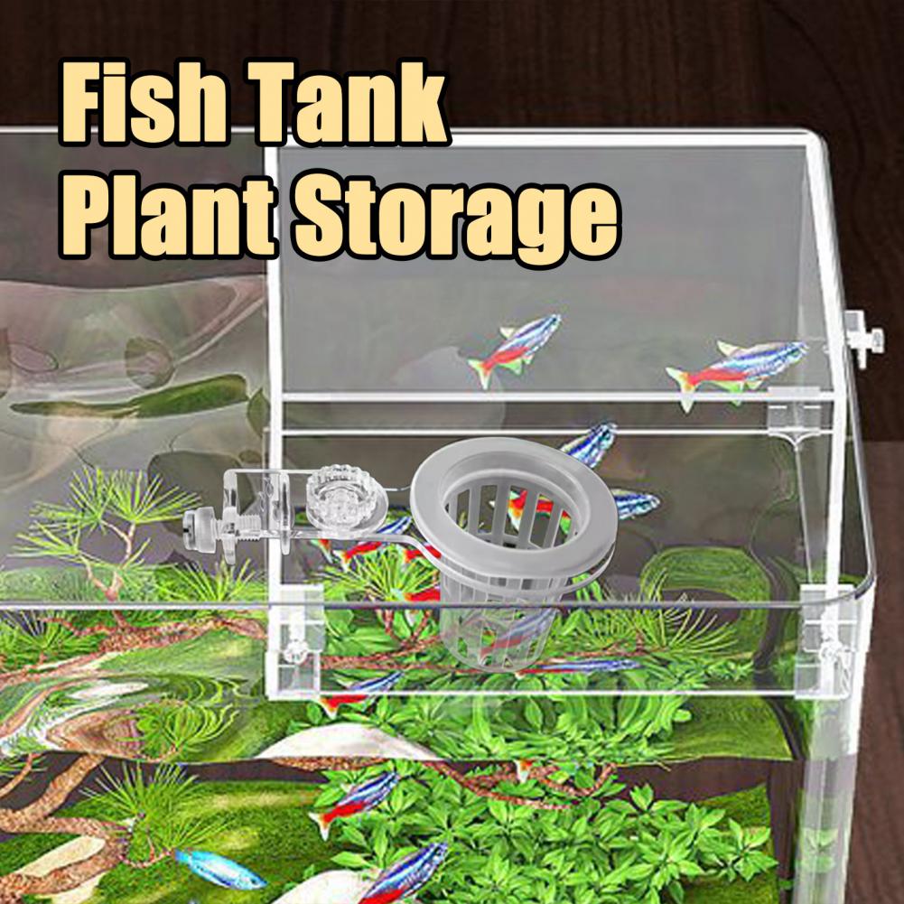 Akvaryum Bitki Tutucu Duvara M - Aquarium Planted Wall incelemesi ve fiyatı