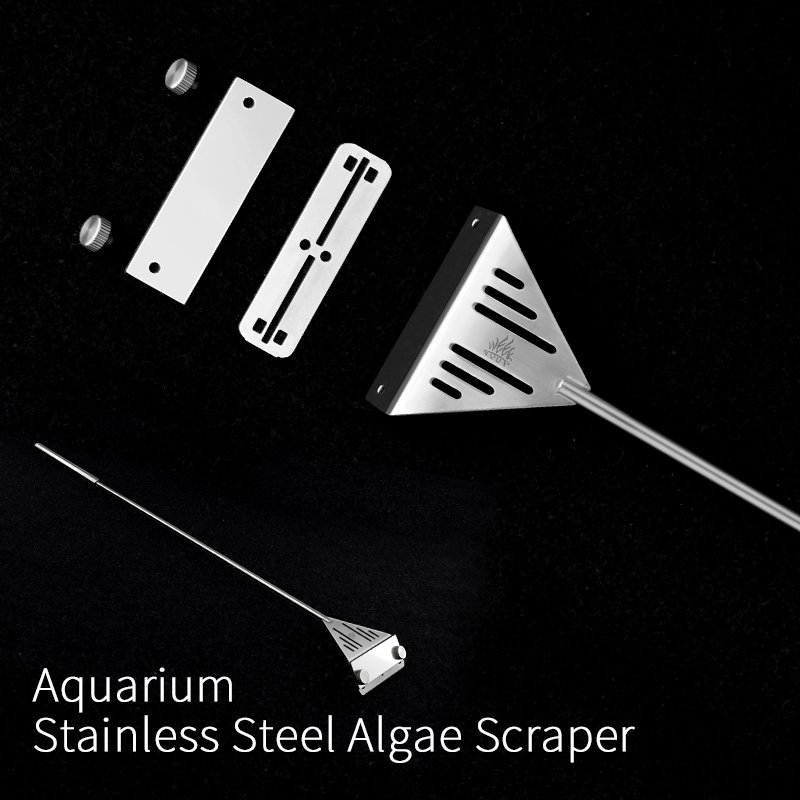 Hafta Aqua Paslanmaz Çelik Bal - Planted Aquarium Kit incelemesi ve fiyatı