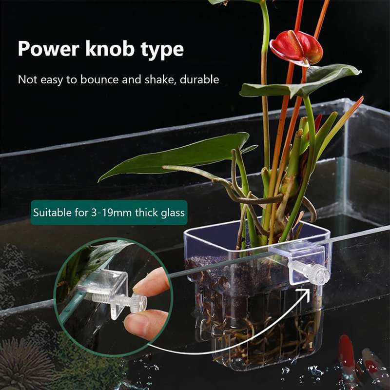 Yeni【Asılı Akvaryum Ekici Bard - Aquarium Planted Wall incelemesi ve fiyatı