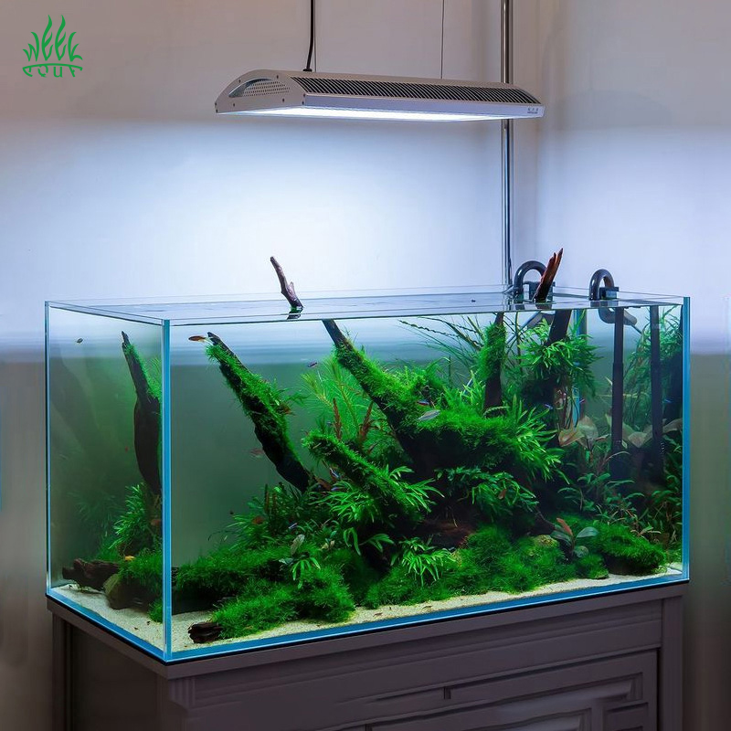 Week Aqua A430Pro LED Akvaryum - Planted Aquarium Aquascape incelemesi ve fiyatı