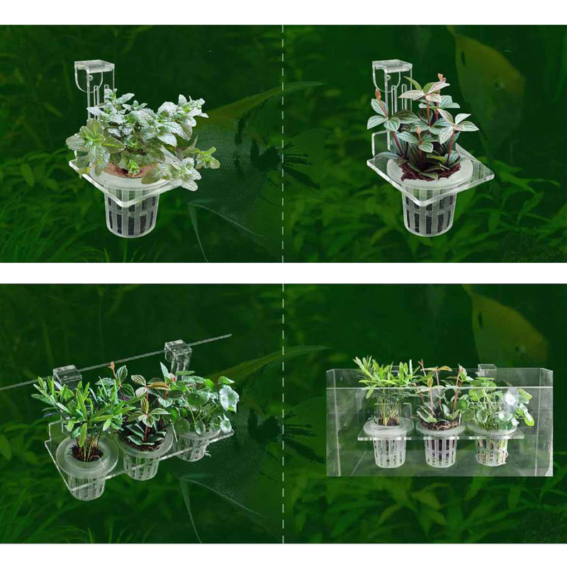 Balık Tankı Dikim Bardak Topra - Aquarium Planted Wall incelemesi ve fiyatı