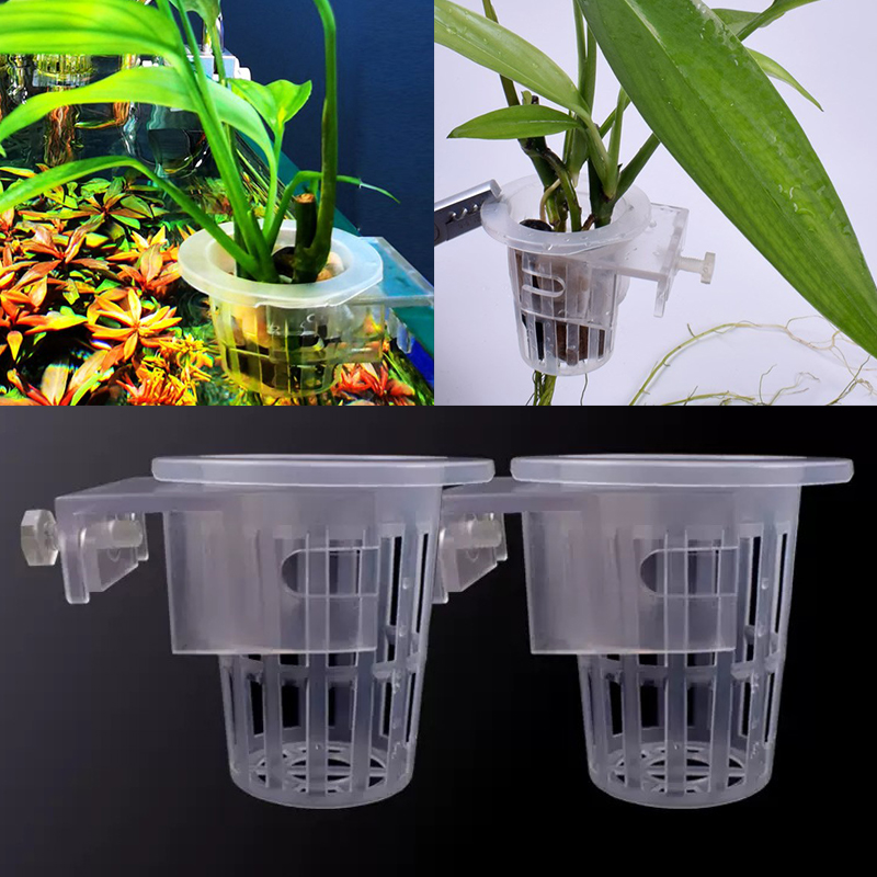 Duvara monte sucul bitki sabit - Aquarium Planted Wall incelemesi ve fiyatı