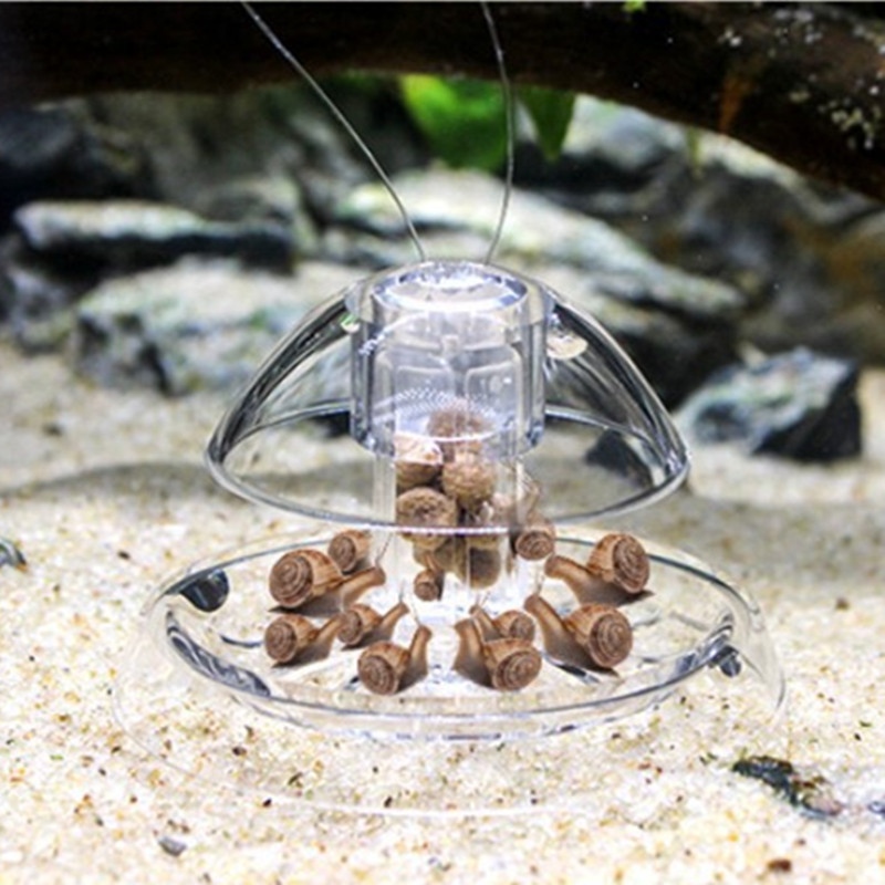 1 adet balık tankı akvaryum te - Planted Aquarium Tools incelemesi ve fiyatı