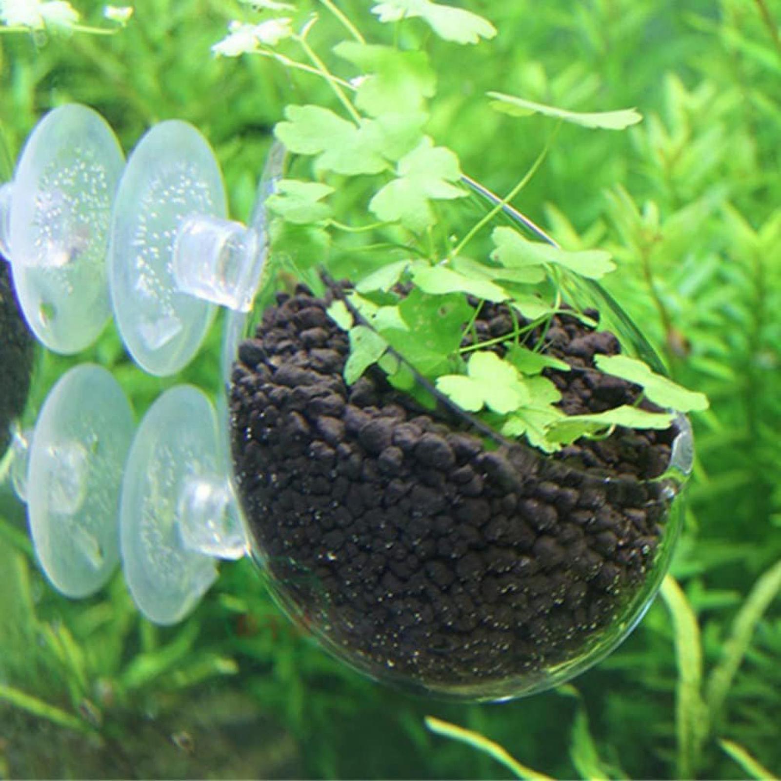 Akvaryum Bitki Tutucu Cam Su B - Planted Aquarium Aquascape incelemesi ve fiyatı