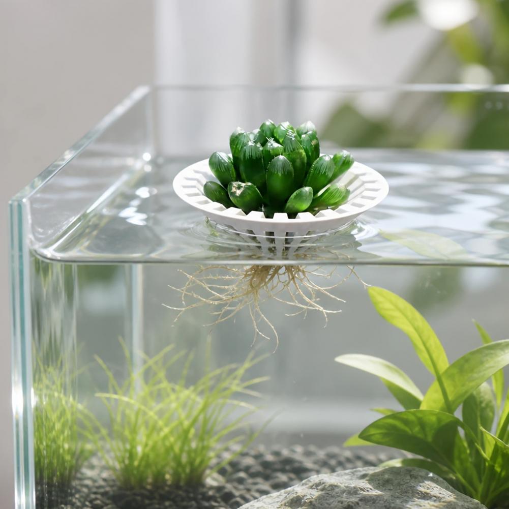 Akvaryum Hidroponik Saksı 3D B - Planted Aquarium Aquascape incelemesi ve fiyatı