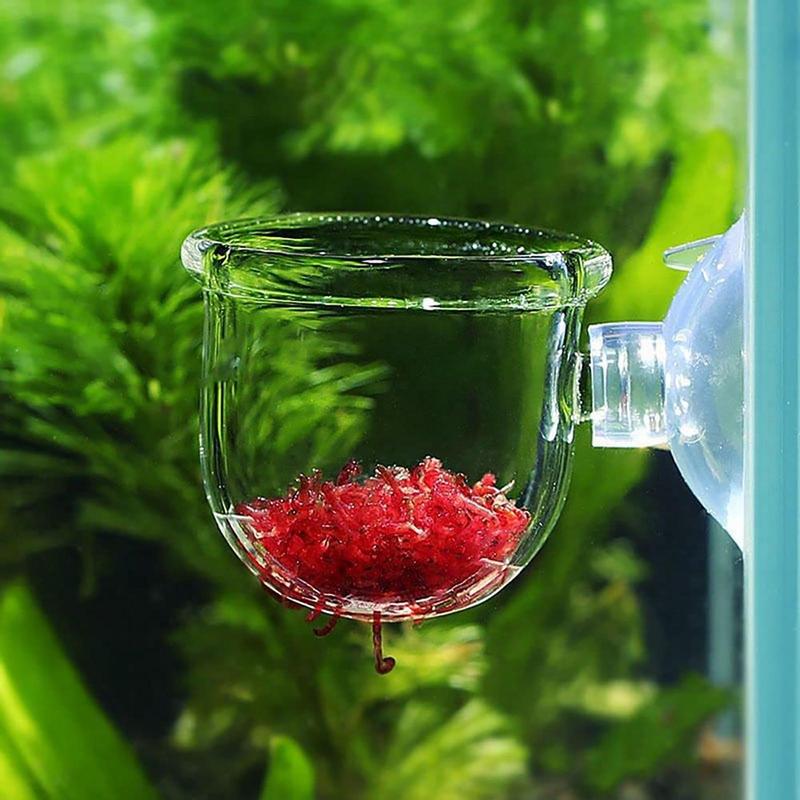 Akrilik sucul bitki fincan akv - Aquarium Plant Seeds incelemesi ve fiyatı