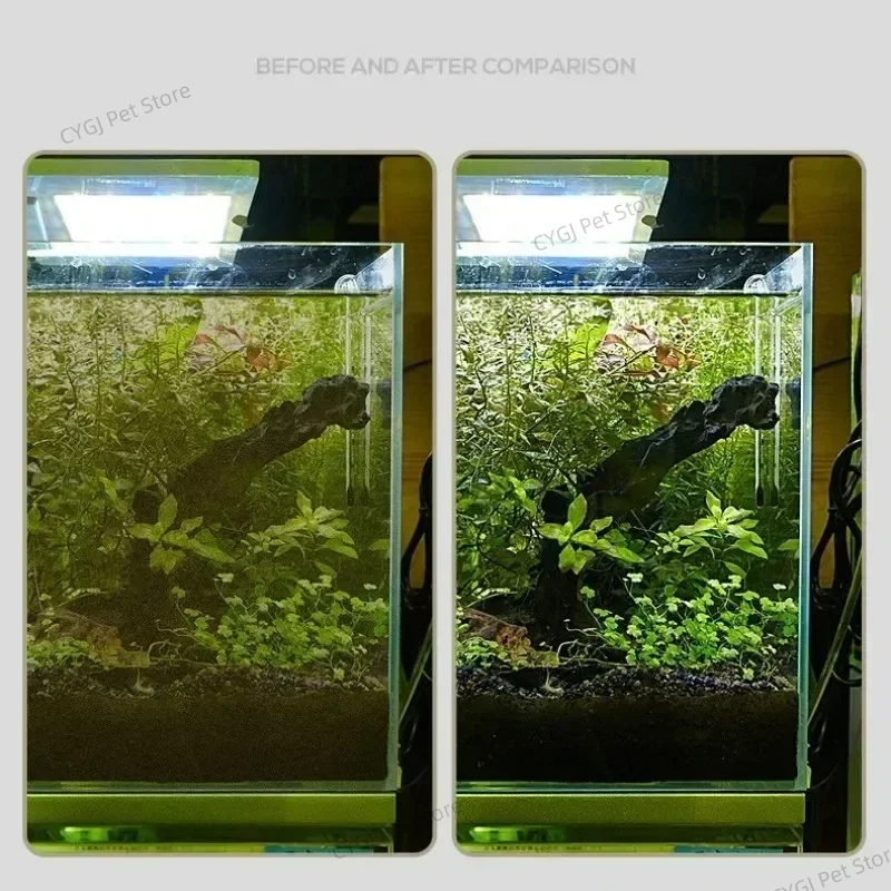 Balık Tankı Temizleme Aracı Dü - Planted Aquarium Kit incelemesi ve fiyatı