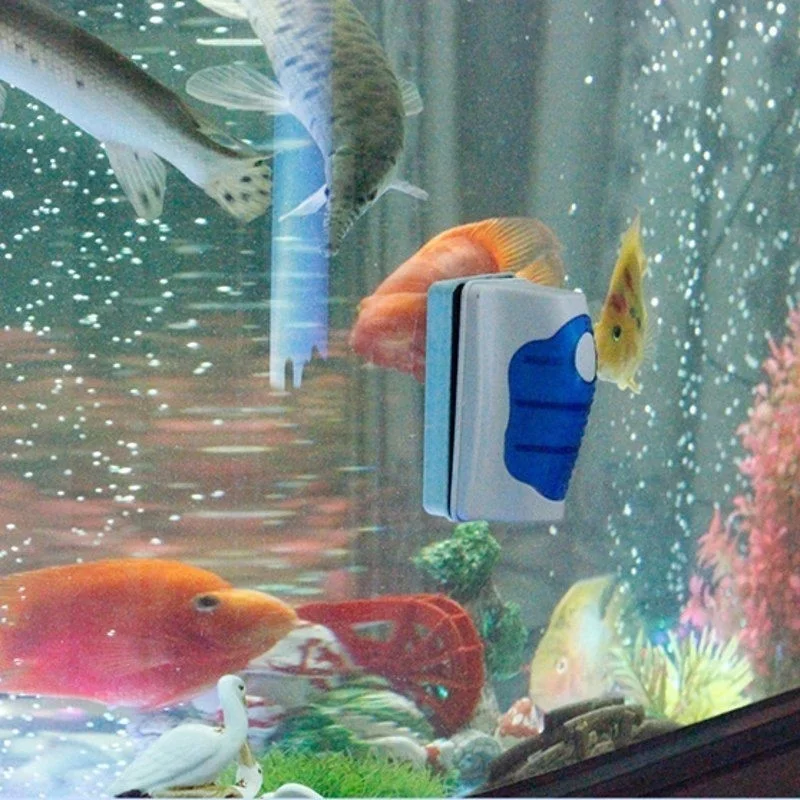 Balık tankı cam kazıyıcı temiz - Planted Aquarium Tools incelemesi ve fiyatı