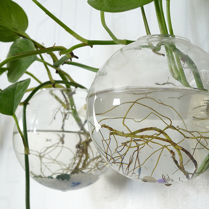 Duvara Asılan Akrilik Balık Ka - Aquarium Planted Wall incelemesi ve fiyatı