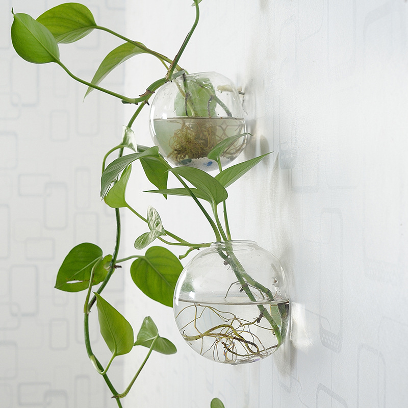 Duvara Asılan Akrilik Balık Ka - Aquarium Planted Wall incelemesi ve fiyatı