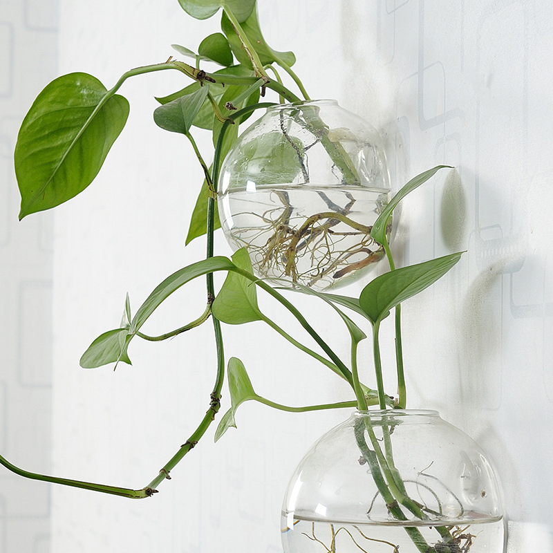 Duvara Asılan Akrilik Balık Ka - Aquarium Planted Wall incelemesi ve fiyatı