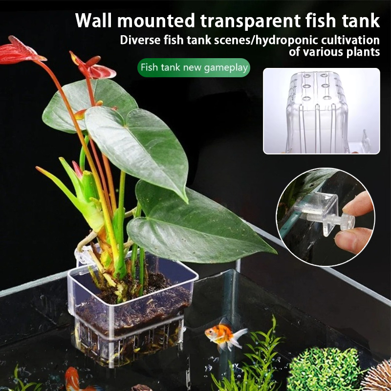 Akvaryum Asma Saksıları Duvara - Aquarium Planted Wall incelemesi ve fiyatı