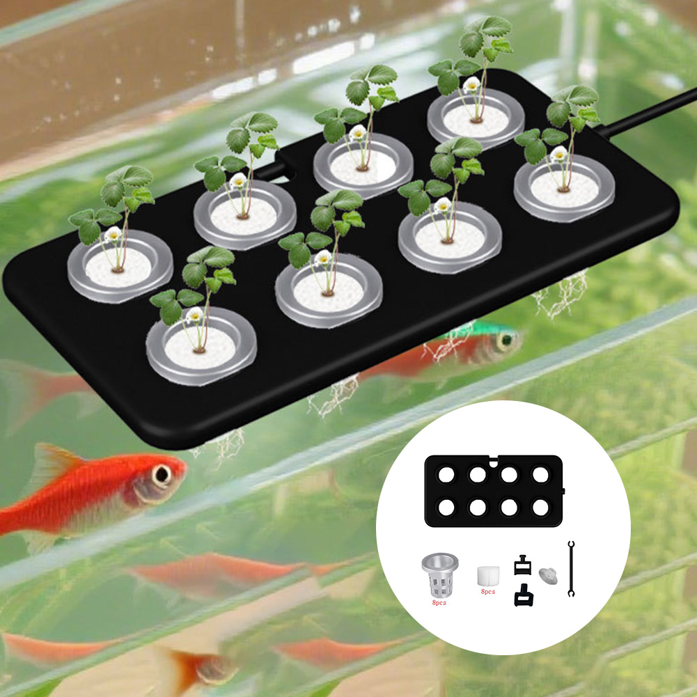 Su Üzerinde Yüzen Dikim Tahtas - Aquarium Planted Wall incelemesi ve fiyatı