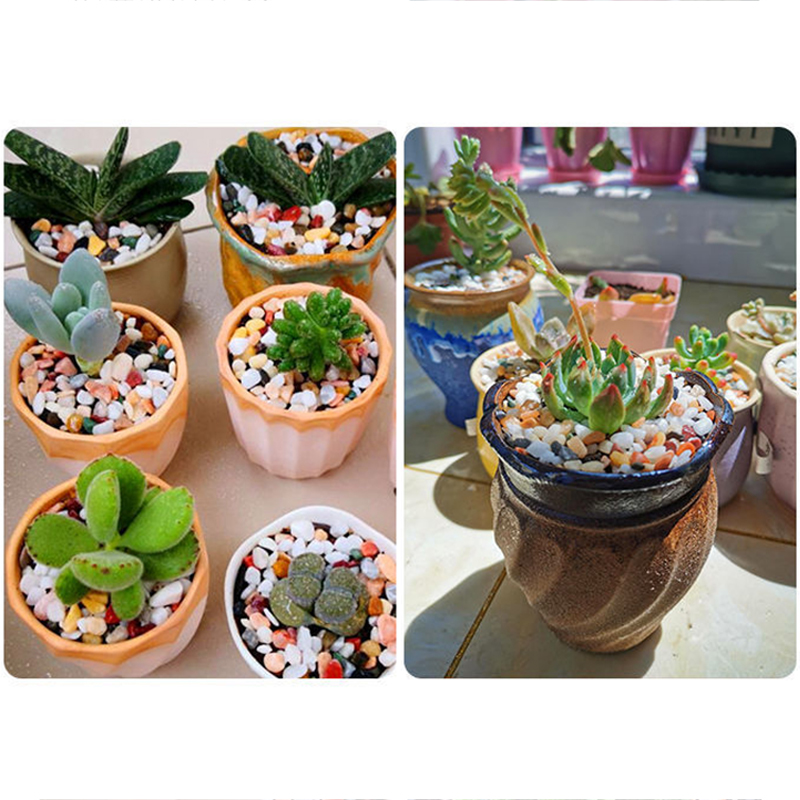 Balık Tankı Alt Kum DIY Aksesu - Planted Aquarium With Gravel incelemesi ve fiyatı