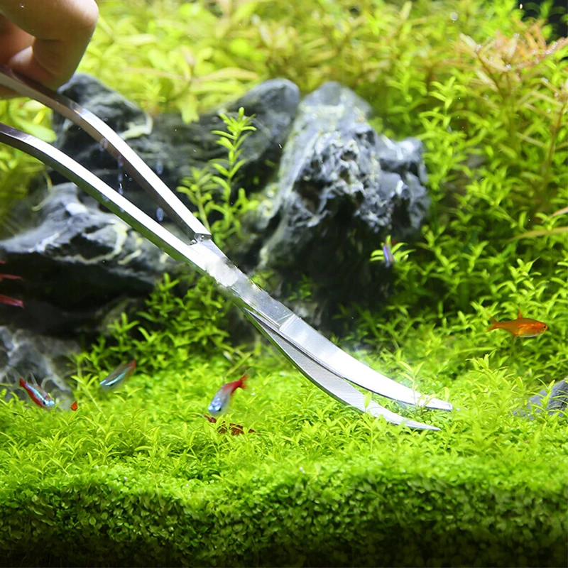 Akvaryum Makas Araçları Balık  - Planted Aquarium Kit incelemesi ve fiyatı