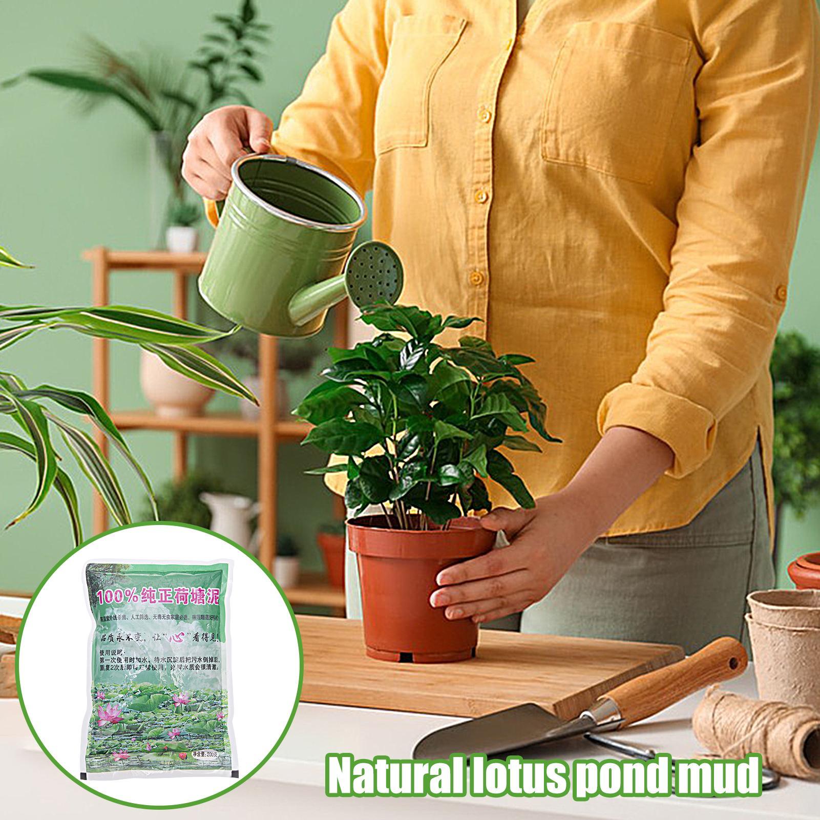200 g/torba Akvaryum Toprağı D - Aquarium Plant Seeds incelemesi ve fiyatı