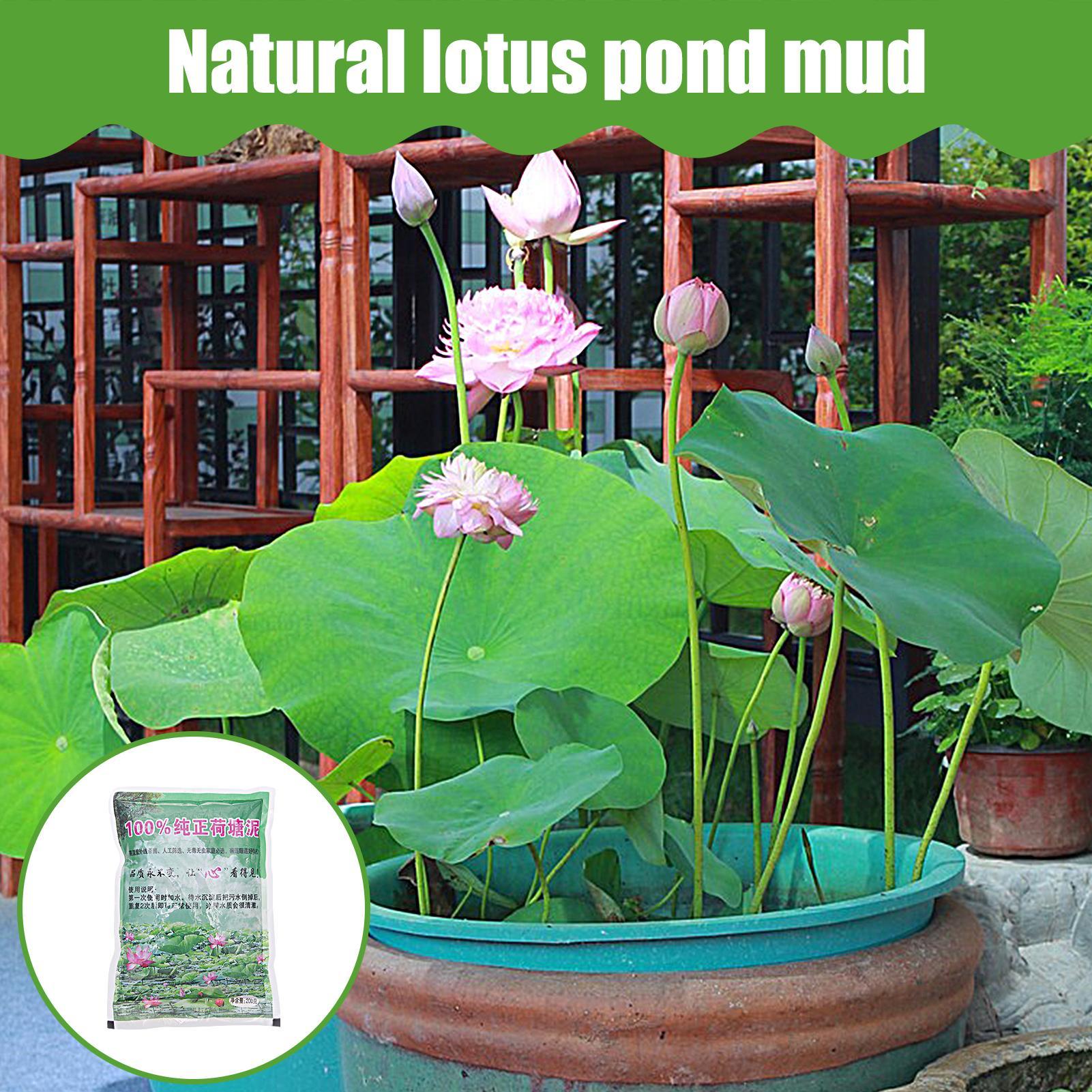 200 g/torba Akvaryum Toprağı D - Aquarium Plant Seeds incelemesi ve fiyatı