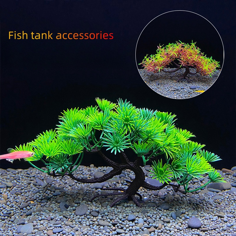 Akvaryum Bonsai Ağacı, Bitki,  - Aquarium Plant Seeds incelemesi ve fiyatı