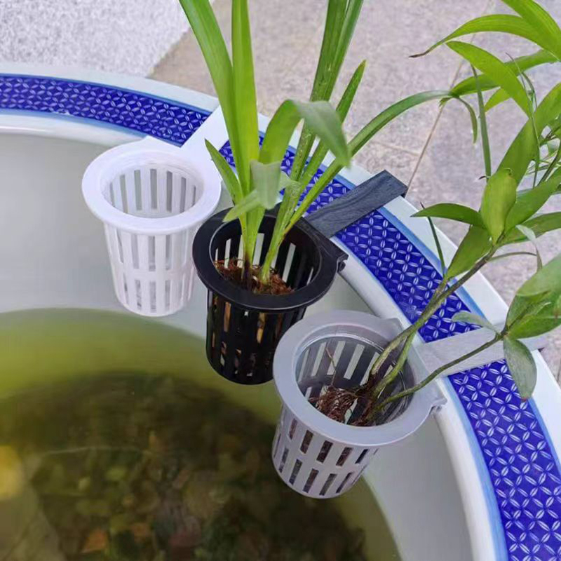 1/3 adet akvaryum bitki sepeti - Aquarium Planted Wall incelemesi ve fiyatı