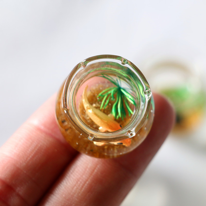 1 adet 1:12 Mini DollHouse sim - Planted Aquarium Photos incelemesi ve fiyatı