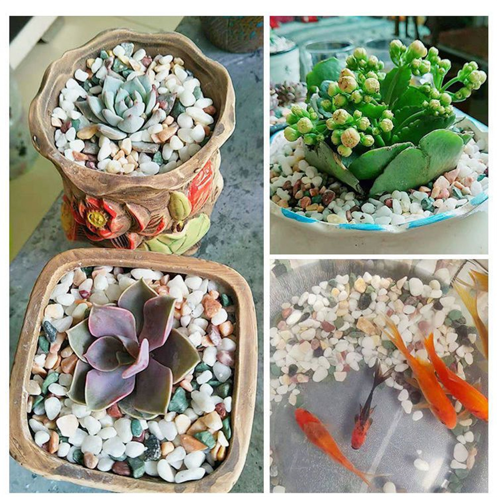 100g Doğal Kristal Çakıl Taşı  - Planted Aquarium With Gravel incelemesi ve fiyatı