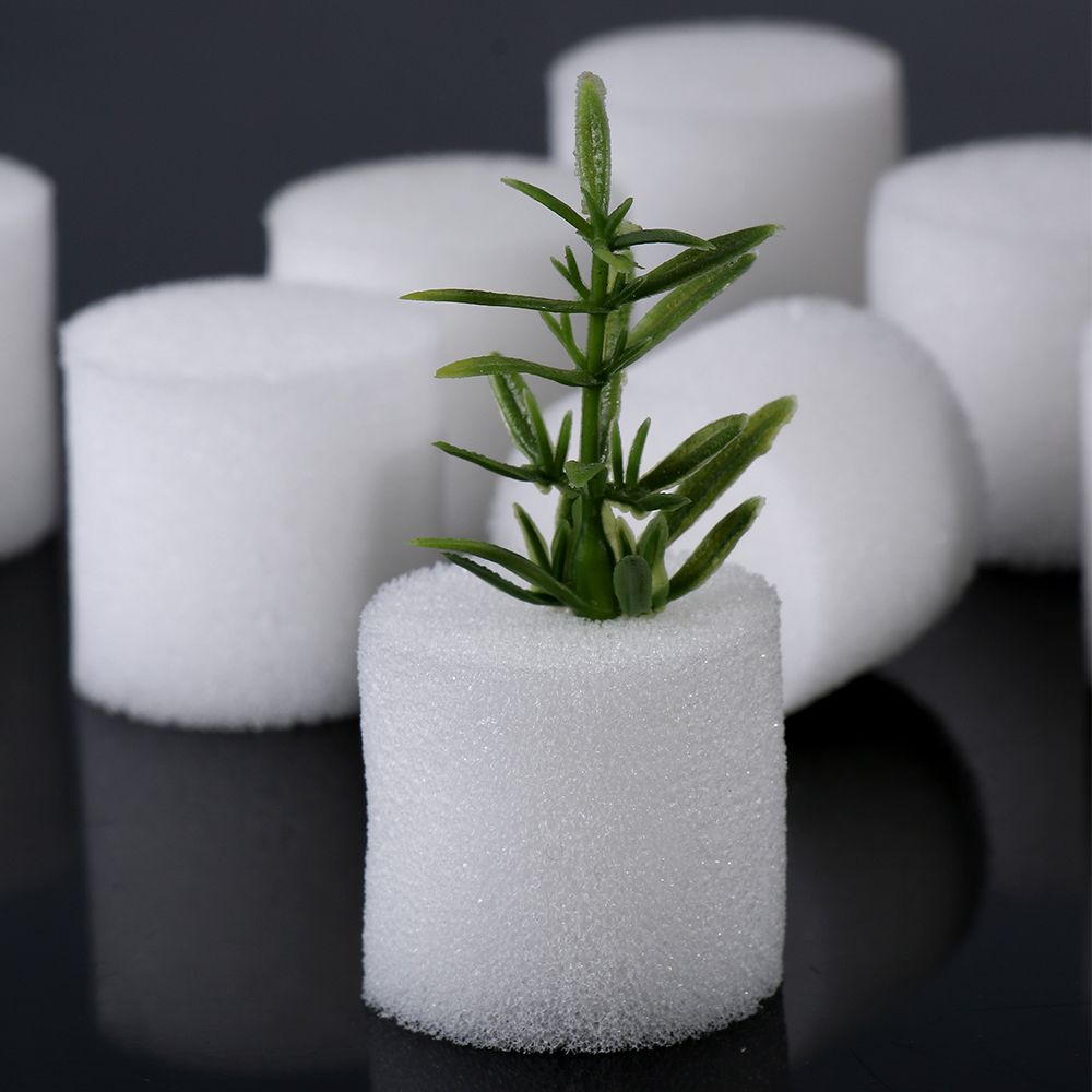 10/50 adet dayanıklı bahçe mal - Aquarium Plant Seeds incelemesi ve fiyatı