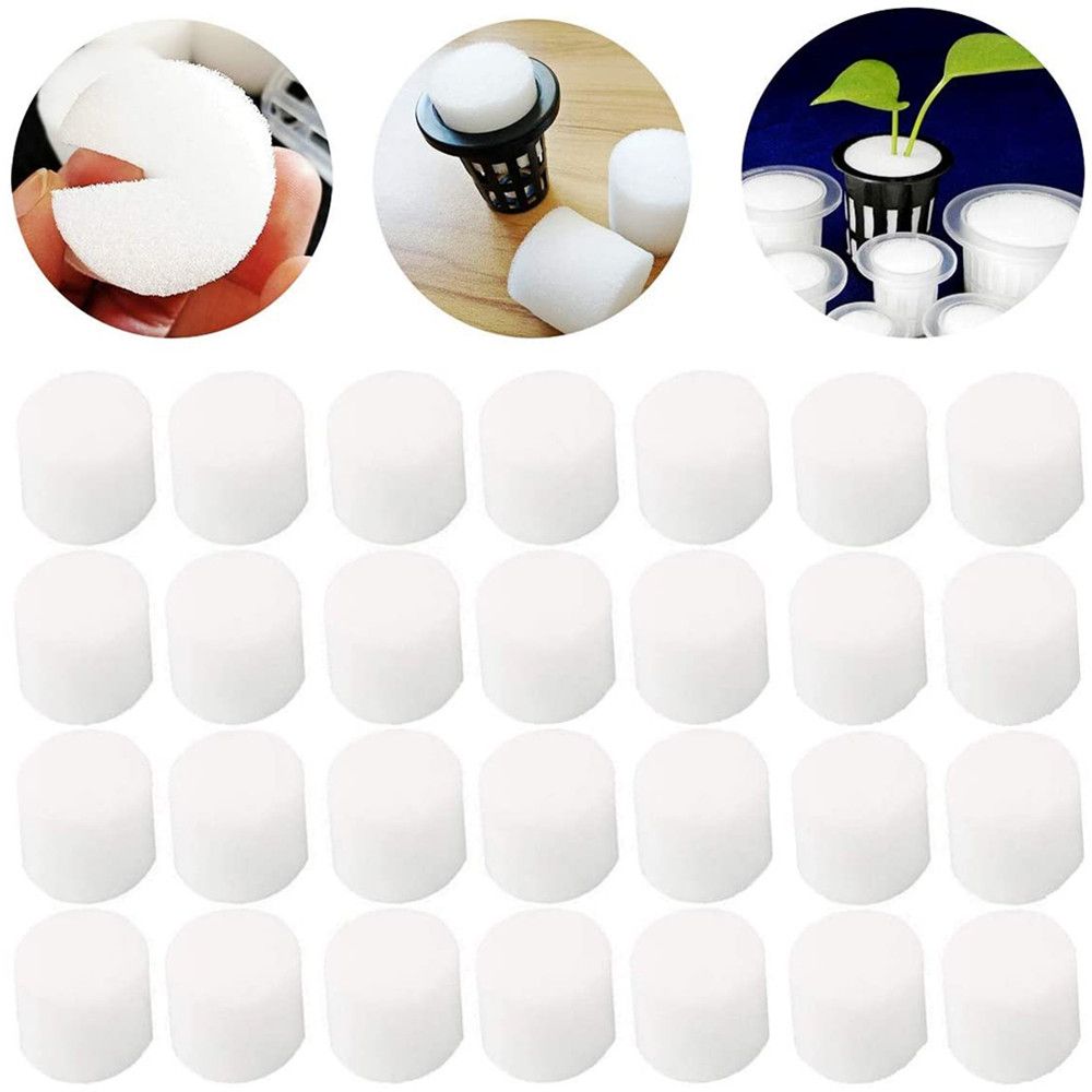 10/50 adet dayanıklı bahçe mal - Aquarium Plant Seeds incelemesi ve fiyatı