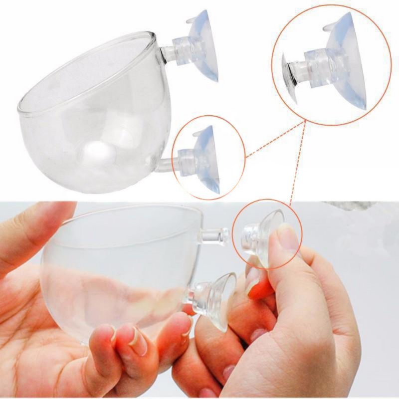 Akvaryum asılı sucul bitki toh - Aquarium Plant Seeds incelemesi ve fiyatı