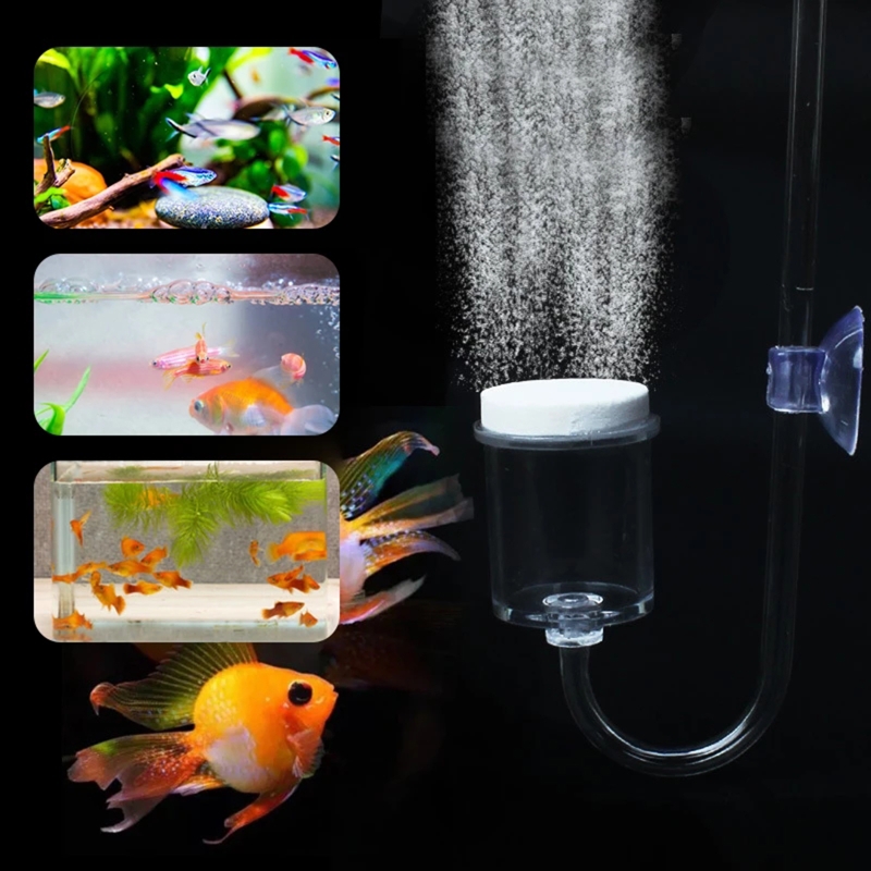 4 adet Set DIY CO2 difüzör içi - Planted Aquarium Kit incelemesi ve fiyatı