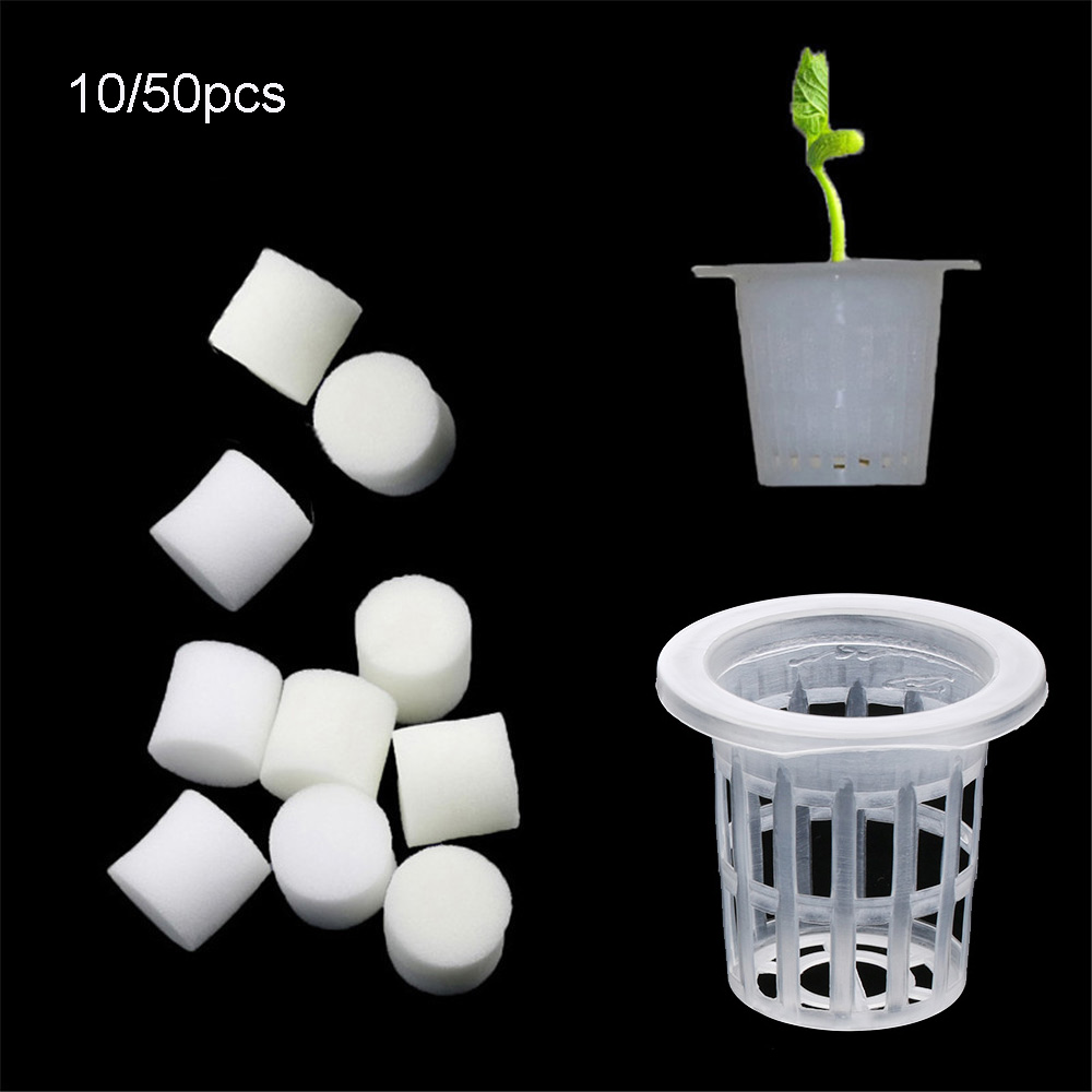 10/50 adet Dayanıklı Dikim Akv - Aquarium Plant Seeds incelemesi ve fiyatı