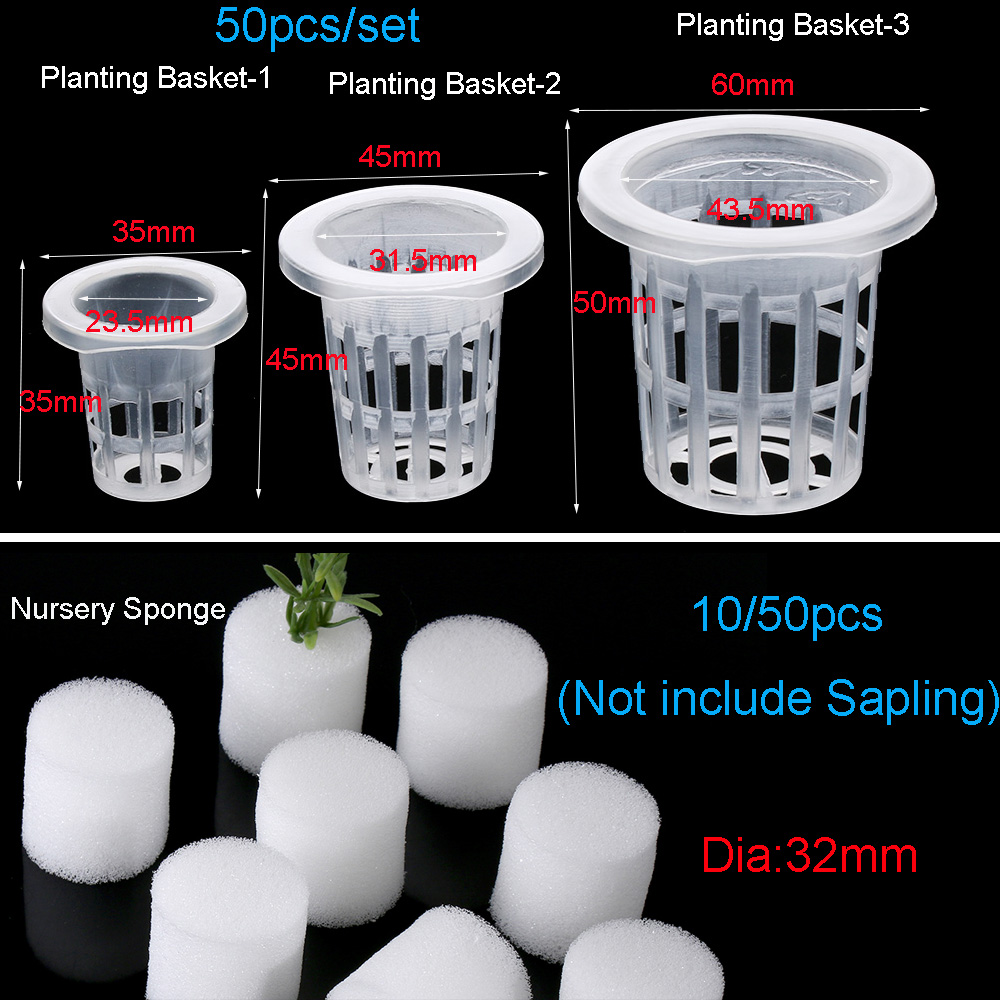 10/50 adet Dayanıklı Dikim Akv - Aquarium Plant Seeds incelemesi ve fiyatı