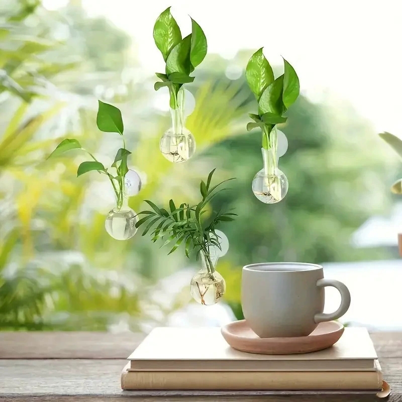 Yaratıcı Yarım Daire Şeklinde  - Aquarium Planted Wall incelemesi ve fiyatı